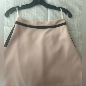 Ted Baker Blush and Black A-Line Skirt